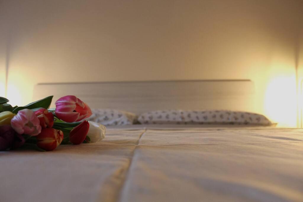 Venere Apartment Bergamo Kültér fotó